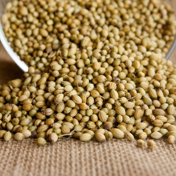 Coriander Powder